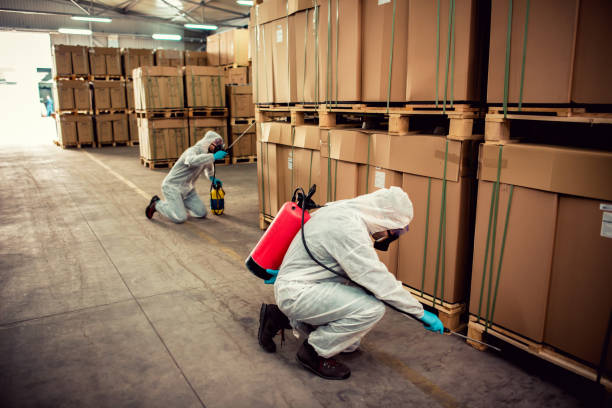 Best Wasp Removal Services  in Fox Lake Hls, IL