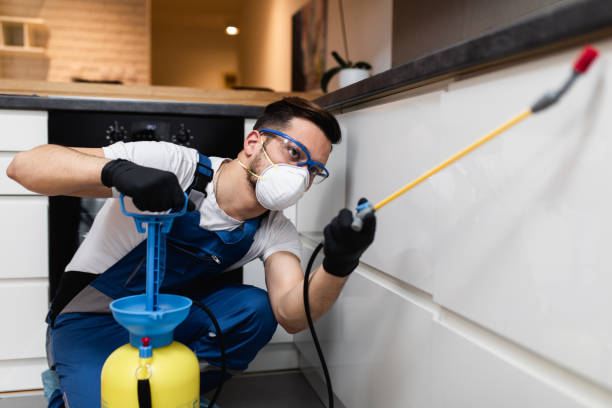 Pest Control for Restaurants in Fox Lake Hills, IL