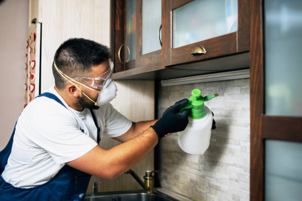 Best Affordable Pest Control Services  in Fox Lake Hls, IL