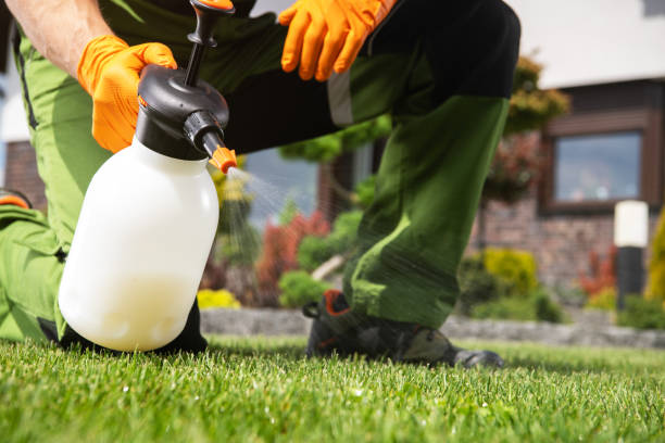 Best Rat Extermination Near Me  in Fox Lake Hls, IL