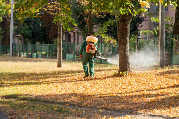 Insect Control in Fox Lake Hills, IL
