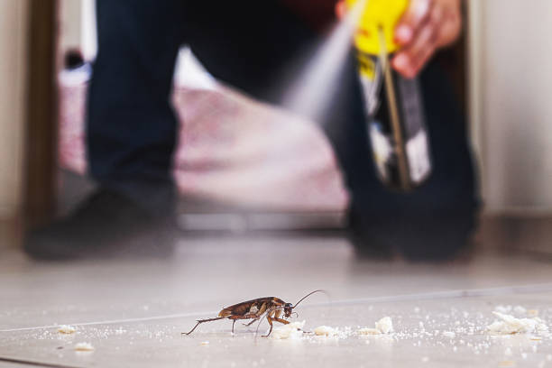 Best Emergency Pest Control  in Fox Lake Hls, IL