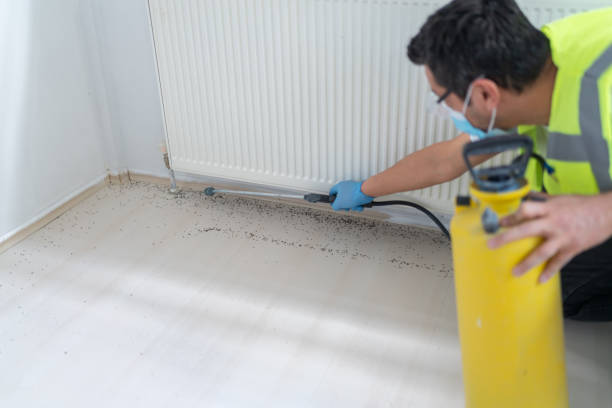 Professional Pest Control in Fox Lake Hills, IL